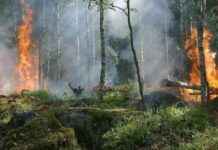 brasil-enfrenta-aumento-alarmante-de-desastres-climticos-estudio-revela-tendencia-preocupante