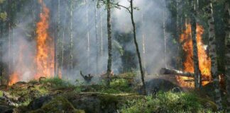 brasil-enfrenta-aumento-alarmante-de-desastres-climticos-estudio-revela-tendencia-preocupante