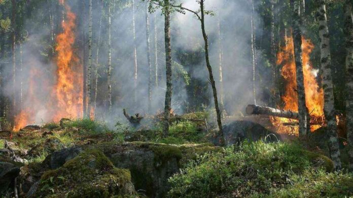 brasil-enfrenta-aumento-alarmante-de-desastres-climticos-estudio-revela-tendencia-preocupante