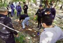 descubren-15-cuerpos-en-fosas-clandestinas-en-la-concordia-chiapas