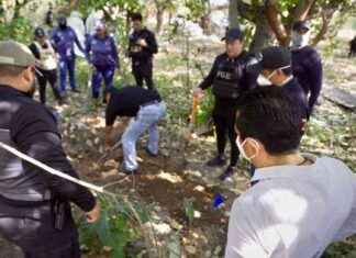 Descubren 15 cuerpos en fosas clandestinas en La Concordia, Chiapas. descubren-15-cuerpos-en-fosas-clandestinas-en-la-concordia-chiapas