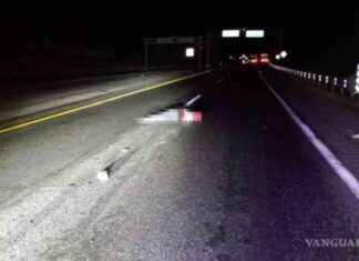 Hombre atropellado en la carretera 57: Identificado como residente de Michoacán hombre-atropellado-en-la-carretera-57-dentificado-como-residente-de-michoacn