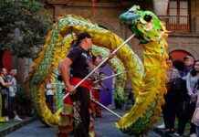 horscopo-chino-2025-ao-de-la-serpiente-de-madera-el-sol-de-mxico