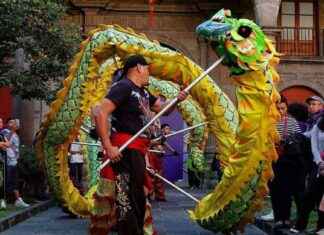 Horóscopo Chino 2025: Año de la Serpiente de Madera – El Sol de México horscopo-chino-2025-ao-de-la-serpiente-de-madera-el-sol-de-mxico