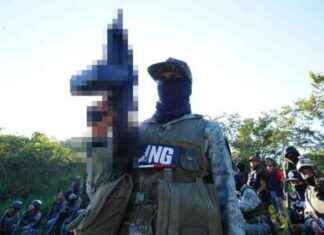 Los Carteles Terroristas de Donald Trump: Lo que Debes Saber los-carteles-terroristas-de-donald-trump-lo-que-debes-saber