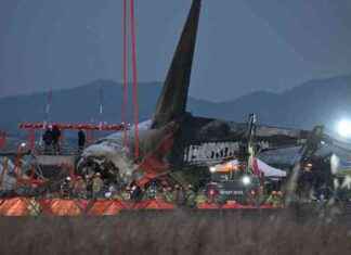 Último Mensaje de Texto de Pasajero de Jeju Air antes del Accidente en Corea del Sur ltimo-mensaje-de-texto-de-pasajero-de-jeju-air-antes-del-accidente-en-corea-del-sur