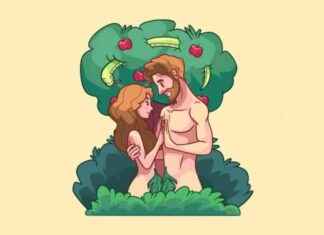 Mirador astronómico del 29 de diciembre de 2024 mirador-astronmico-del-29-de-diciembre-de-2024