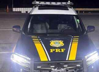 Investigación de la Policía de Brasil sobre muertes por pastel de Navidad con arsénico nvestigacin-de-la-polica-de-brasil-sobre-muertes-por-pastel-de-navidad-con-arsnico