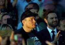 por-qu-elon-musk-apoya-a-partido-de-ultraderecha-de-alemania-el-sol-de-mxico