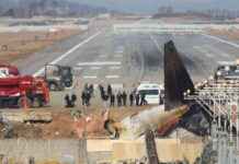 accidente-de-jeju-air-registran-aeropuerto-y-oficinas-tras-tragedia-el-sol-de-mxico