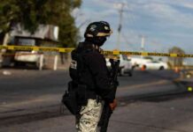 cifras-de-homicidios-en-mxico-durante-primer-semestre-de-2024-negi