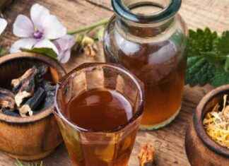 Diferencia entre té, tisana e infusión: explicación clara y concisa diferencia-entre-t-tisana-e-infusin-explicacin-clara-y-concisa