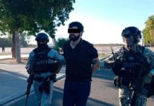 los-crteles-no-son-considerados-terroristas-por-estados-unidos-qu-falta-para-cumplir-la-orden-de-donald-trump-el-sol-de-mxico