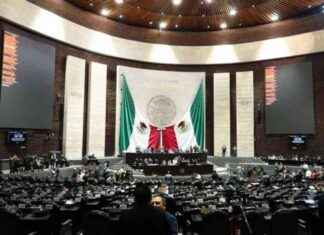 PT rompe alianza con Morena en el Congreso federal por reforma electoral pt-rompe-alianza-con-morena-en-el-congreso-federal-por-reforma-electoral