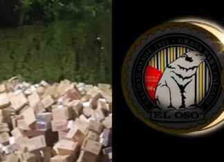 Razones del desalojo de la fábrica de grasa El Oso según SSC-CDMX razones-del-desalojo-de-la-fbrica-de-grasa-el-oso-segn-ssc-cdmx