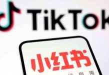 rednote-incorpora-traduccin-automtica-para-usuarios-de-tiktok-el-sol-de-mxico