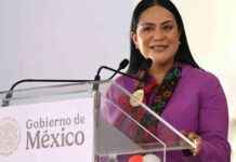 rehabilitacin-como-derecho-en-mxico-ariadna-montiel