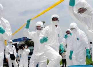 Sacrificio de 50 mil pollos en Japón por brote de gripe aviar en Iwate sacrificio-de-50-mil-pollos-en-japn-por-brote-de-gripe-aviar-en-wate