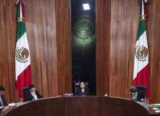 TEPJF ordena al Senado elegir candidatos del PJ por tómbola – El Sol de México tepjf-ordena-al-senado-elegir-candidatos-del-pj-por-tmbola-el-sol-de-mxico