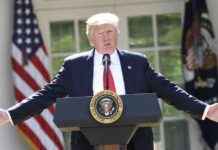 trump-elimina-programas-de-diversidad-en-eu-mpacto-en-la-sociedad-y-polticas-gubernamentales-en-mxico