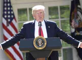 Trump elimina programas de diversidad en EU – Impacto en la sociedad y políticas gubernamentales en México trump-elimina-programas-de-diversidad-en-eu-mpacto-en-la-sociedad-y-polticas-gubernamentales-en-mxico