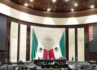 Diputados PT y PAN se eternizan en el cargo – El Sol de México diputados-pt-y-pan-se-eternizan-en-el-cargo-el-sol-de-mxico