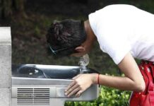 escuelas-en-mxico-una-de-cada-cinco-sin-agua-potable