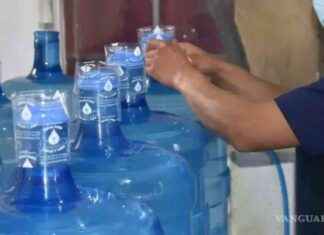 Larva en garrafón de agua en Piedras Negras: Alerta sin confirmación oficial. larva-en-garrafn-de-agua-en-piedras-negras-alerta-sin-confirmacin-oficial