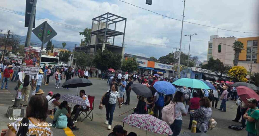 maestros-de-educacin-indgena-protestan-en-las-calles