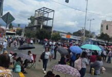 maestros-de-educacin-indgena-protestan-en-las-calles