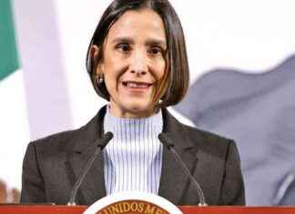 Precio máximo de gasolina y su impacto en el mercado precio-mximo-de-gasolina-y-su-impacto-en-el-mercado