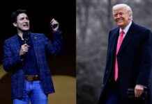 trump-y-trudeau-discuten-fentanilo-y-guerra-en-ucrania-en-llamada-telefnica-el-sol-de-mxico