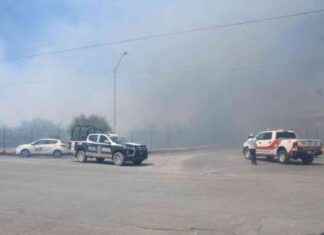 Arrestan sospechoso del incendio en Mercado de Abastos de Saltillo arrestan-sospechoso-del-incendio-en-mercado-de-abastos-de-saltillo
