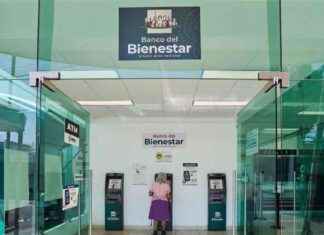 ¿Cómo retirar dinero de Pensiones del Bienestar sin Tarjeta? – Guía para recuperar acceso – El Sol de México cmo-retirar-dinero-de-pensiones-del-bienestar-sin-tarjeta-gua-para-recuperar-acceso-el-sol-de-mxico