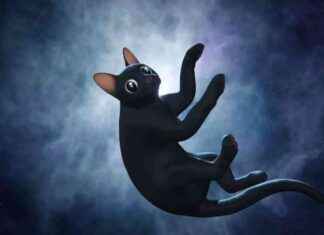 Flow: Ganador del Oscar a Mejor Película Animada flow-ganador-del-oscar-a-mejor-pelcula-animada