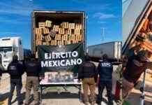 ntercepcin-de-fentanilo-y-nopales-por-operativos-de-seguridad-en-sonora