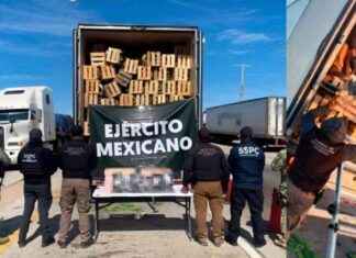 Intercepción de Fentanilo y Nopales por Operativos de Seguridad en Sonora. ntercepcin-de-fentanilo-y-nopales-por-operativos-de-seguridad-en-sonora