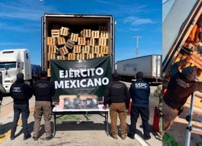 ntercepcin-de-fentanilo-y-nopales-por-operativos-de-seguridad-en-sonora