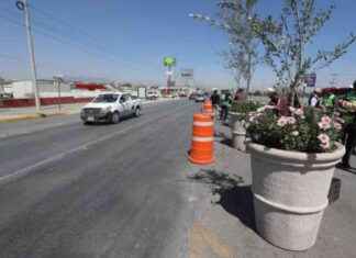Saltillo transforma antiguos retornos con maceteros de arbolado saltillo-transforma-antiguos-retornos-con-maceteros-de-arbolado