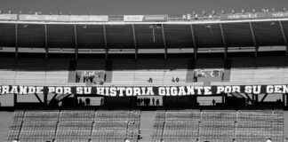 Argentina Vs Países Bajos: Dónde Ver México Argentina Vs Países Bajos: Dónde Ver México