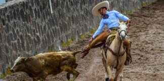 Atlacomulco De Fabela Estado De México Atlacomulco De Fabela Estado De México