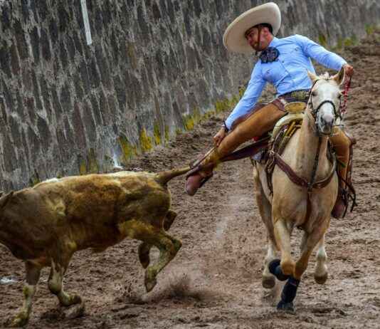 Atlacomulco De Fabela Estado De México Atlacomulco De Fabela Estado De México