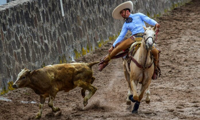Atlacomulco De Fabela Estado De México