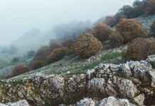 Bosques Del Lago Cuautitlán Izcalli Estado De México Bosques Del Lago Cuautitlán Izcalli Estado De México