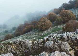 Bosques Del Lago Cuautitlán Izcalli Estado De México Bosques Del Lago Cuautitlán Izcalli Estado De México