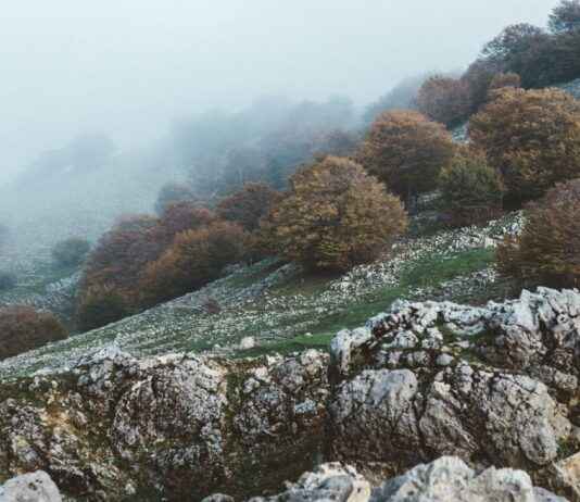 Bosques Del Lago Cuautitlán Izcalli Estado De México Bosques Del Lago Cuautitlán Izcalli Estado De México