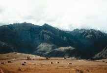 Casas Alemán Ciudad De México CDMX Casas Alemán Ciudad De México CDMX