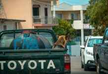 Cuál Es El Auto Más Barato En México Cuál Es El Auto Más Barato En México