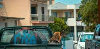 Cuál Es El Auto Más Barato En México Cuál Es El Auto Más Barato En México