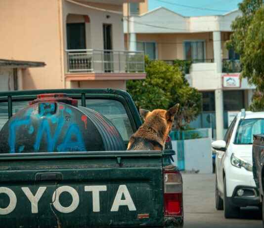 Cuál Es El Auto Más Barato En México Cuál Es El Auto Más Barato En México